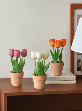 仿真盆栽郁金香仿真花假花摆设咖啡店装饰摆件ins拍照道具氛围感