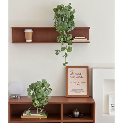 仿真植物盆栽阳台挂饰垂吊餐厅室内装饰高端日系背景墙氛围道具