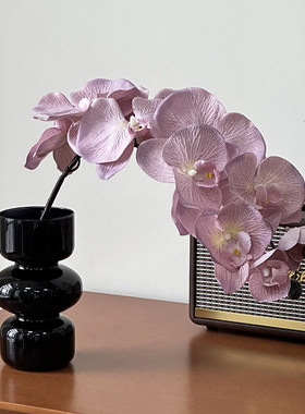 仿生蝴蝶兰假花仿真花摆设轻奢花艺花瓶插花家居客厅装饰摆件花束