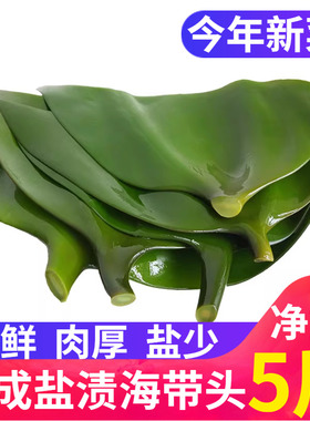 山东荣成盐渍海带头 新鲜海带根丝片结特厚昆布半干货火锅食材5斤