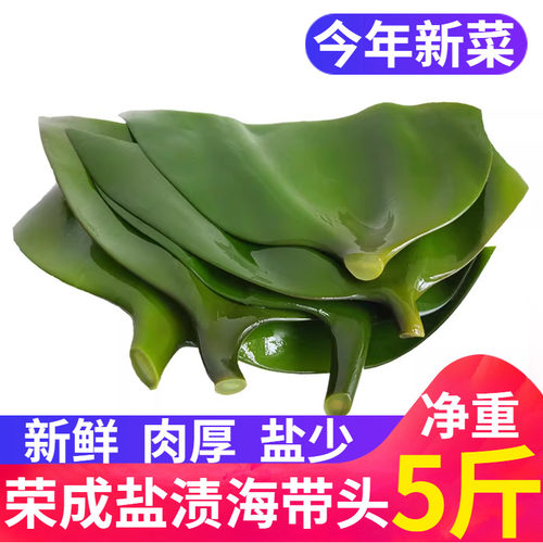山东荣成盐渍海带头海带根5斤