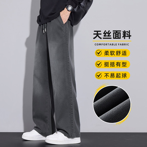 休闲裤男款2025新款秋季宽松直筒垂感潮牌百搭男士裤子Z2578-P45图片