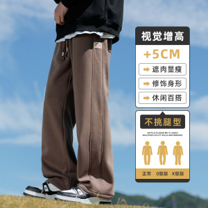 休闲裤男士秋冬款卫裤2024新款宽松直筒运动阔腿长裤子Z2344-P45