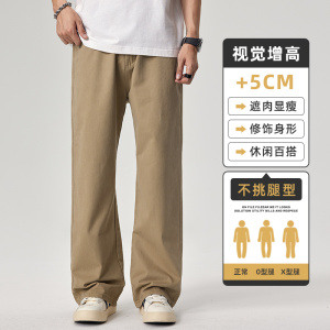 休闲裤男士2026新款秋冬纯棉直筒宽松阔腿工装长裤子Z2362-P50图片