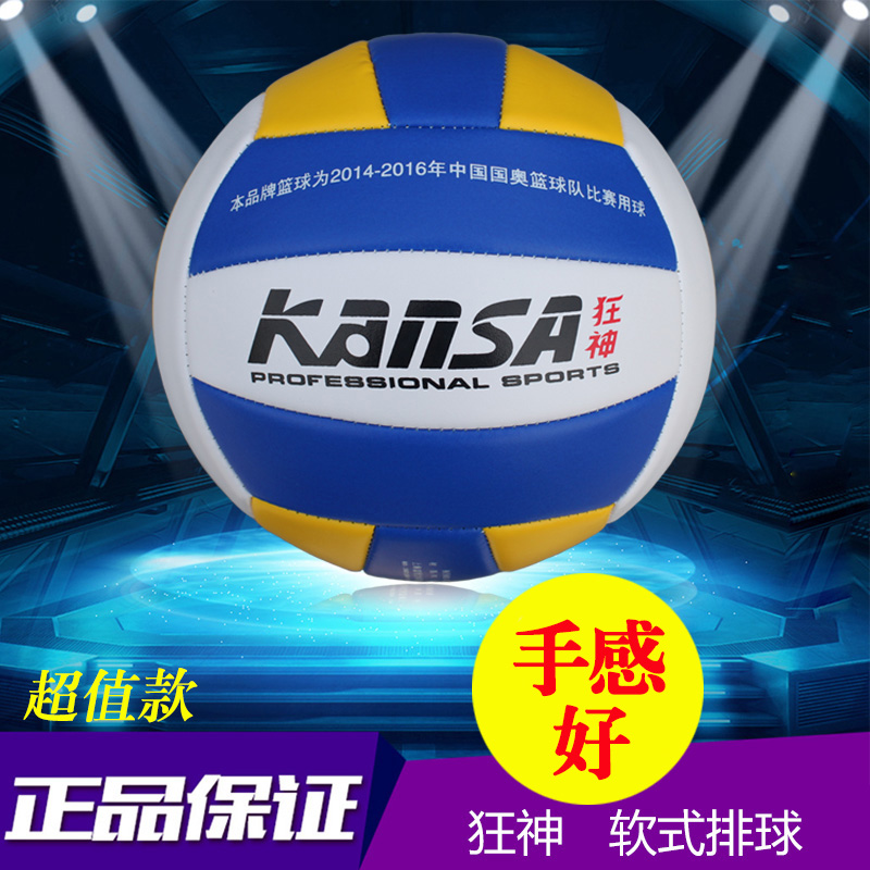 Ballon de volley-ball - Ref 2009805 Image 5