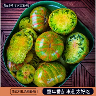 传家宝伯克利扎染绿可留种大番茄西红柿圣女果蔬菜水果种子籽孑
