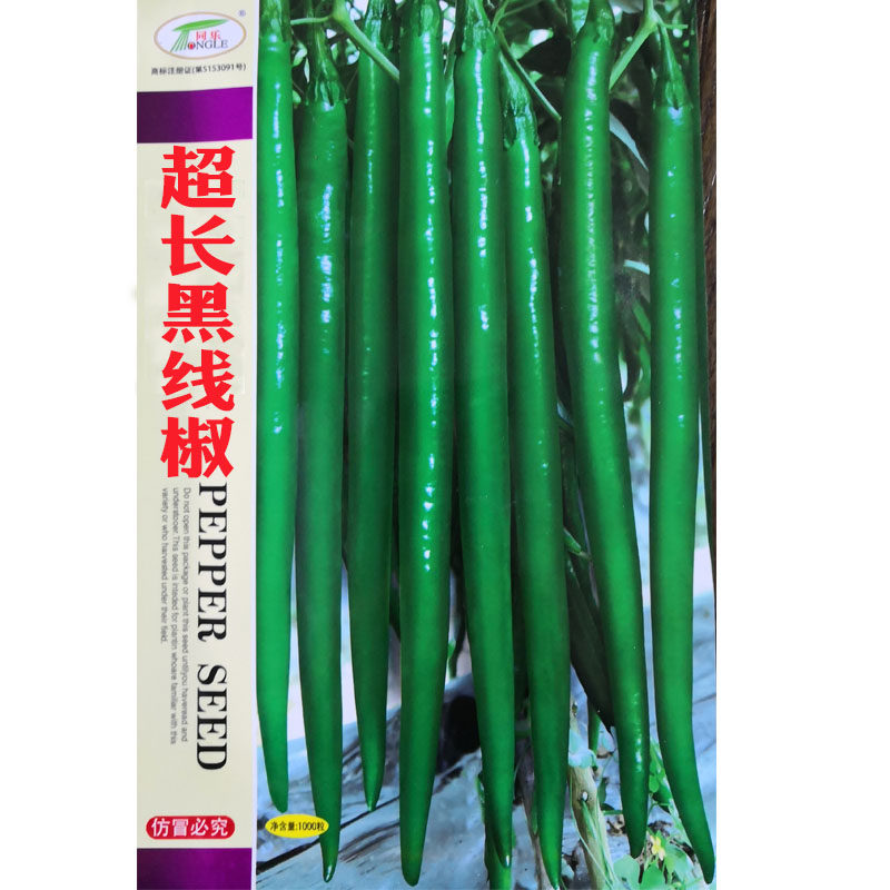 超长黑线椒种子辣椒蔬菜种子螺丝椒杭椒尖椒朝天椒螺丝线椒辣椒苗