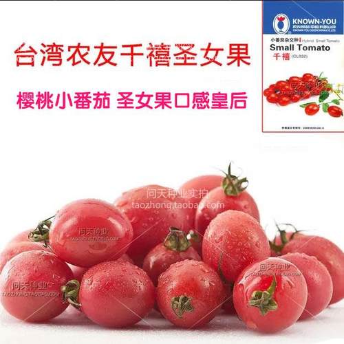 农友千禧海南圣女果樱桃小番茄