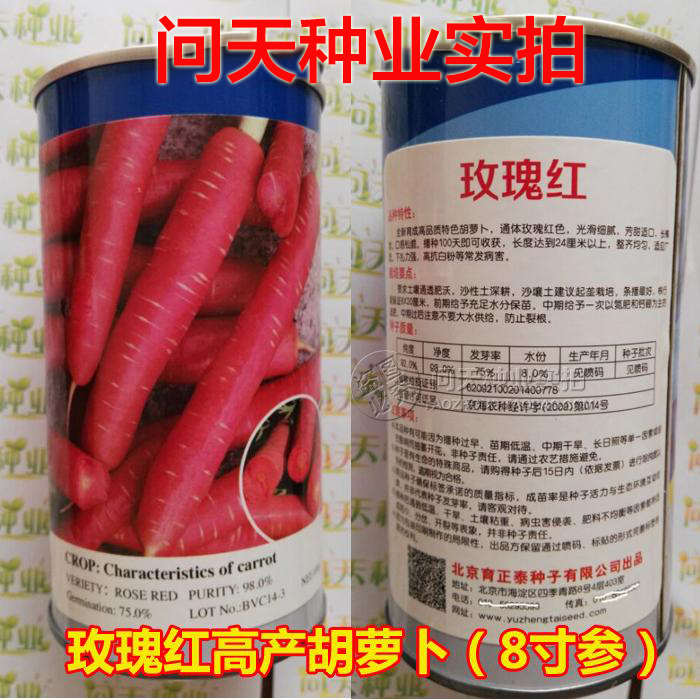 玫瑰红厘米以上甜度高胡萝卜种子