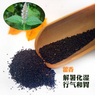 藿香种子 中药种子 观赏蔬果种子 解暑清凉 花卉种子花种子A