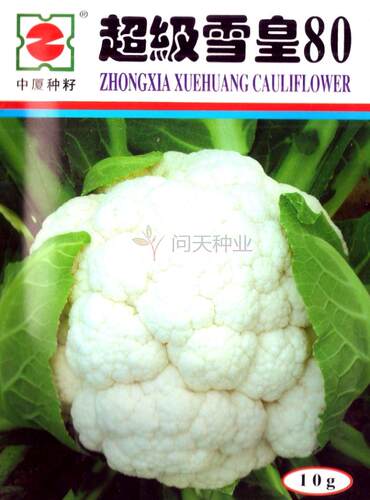 超级雪皇80白菜种子西兰花花菜
