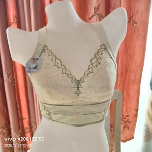 全罩杯大胸显小内衣女大码 聚拢侧收副乳防下垂调整型亲肤透气文胸