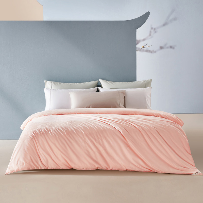 慈云100桑蚕丝被 子母被二合一净重24斤空调被春秋被双人冬被芯