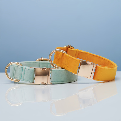 狗狗多巴胺彩项圈中型犬柯基柴犬狗脖圈刻字防丢失小型犬金毛颈圈