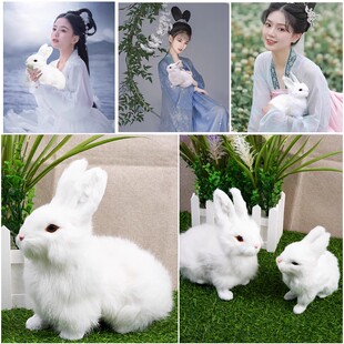 中秋汉服拍照道具古风仿真小白兔子儿童古装摄影写真手持拍摄摆件