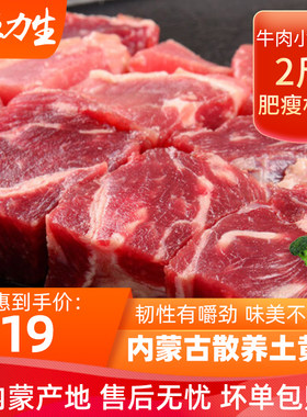 内蒙古牛腱子肉锡盟新鲜冷冻牛肉精品生牛肉块小切块2斤 精选黄牛