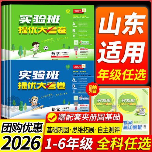 山东适用实验班提优大考卷