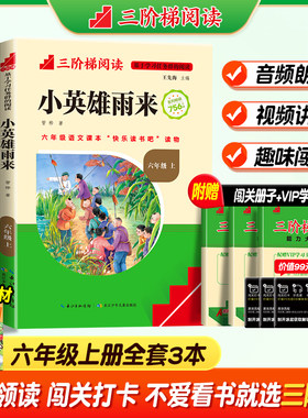 三阶梯阅读小英雄雨来童年爱的教育六年级上册下册快乐读书吧课外书必读鲁滨孙漂流记老师推荐阅读书籍名校课堂经典读物长江少儿