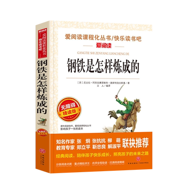 钢铁是怎样炼成的初中正版原著