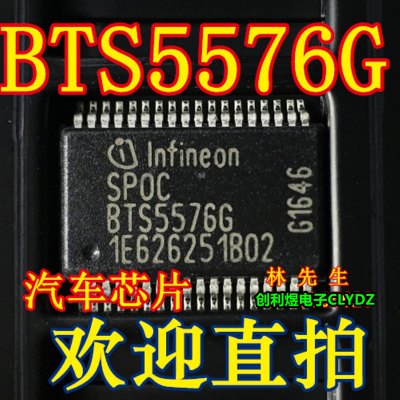 BTS5576G  BTS55766汽车灯驱动芯片 全新正品 SSOP36 BTS5576G