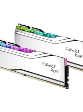 G.SKILL芝奇32GB(16Gx2)套装DDR5 6000皇家戟EXPO版灯条-银色/C28
