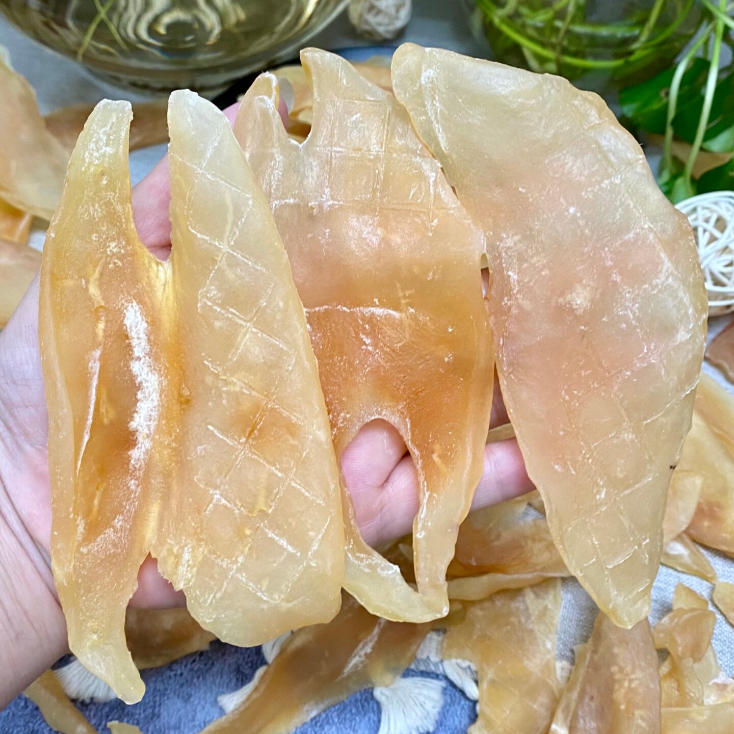 淡干生晒小片响螺片干货 厚肉香螺干 海螺肉片 煲汤食材养生汤料图片