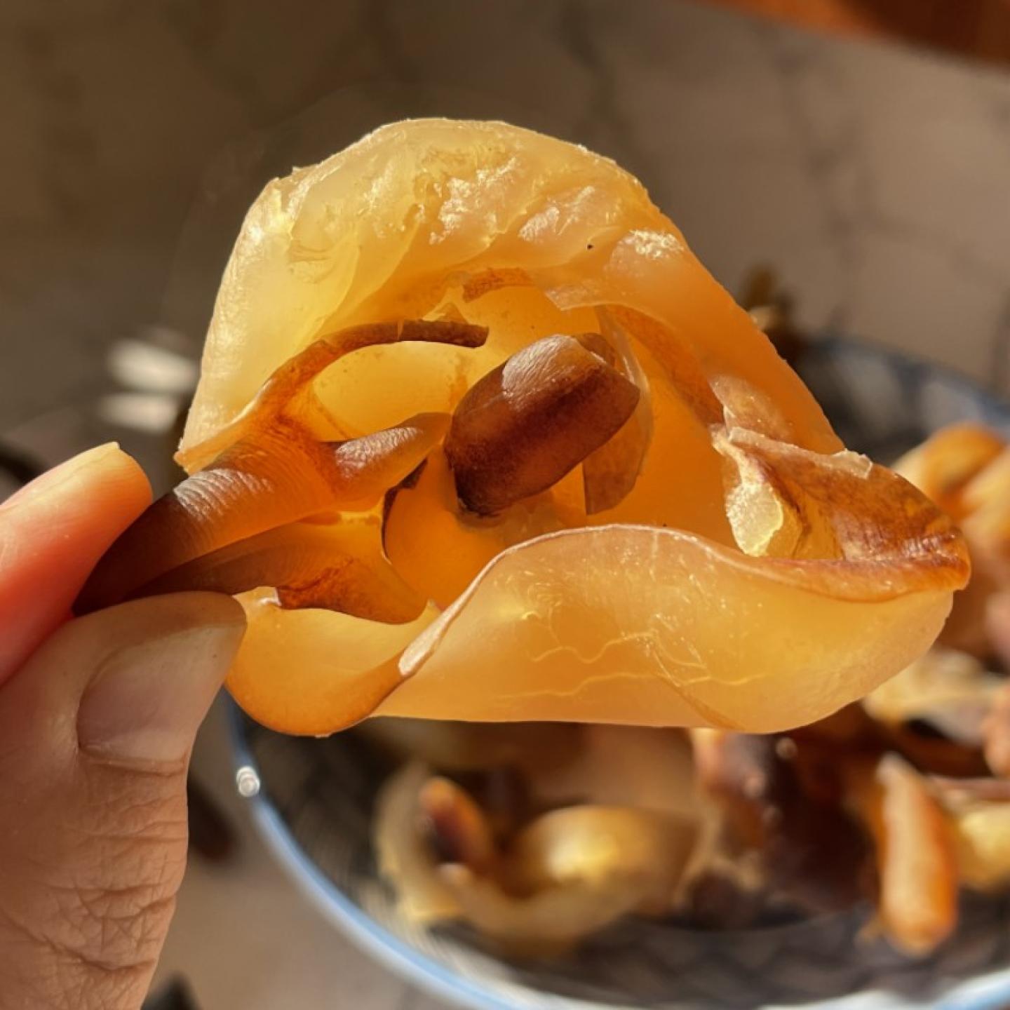 生晒螺头淡干海螺肉海产品干货 螺嘴响螺足干边煲汤养生鲜美 汤包