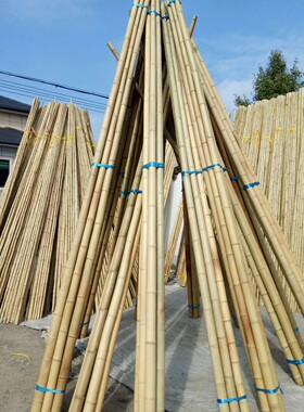 防腐装修竹竿天然旗杆室内庭院