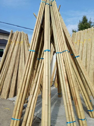 防腐装修竹竿天然旗杆室内庭院