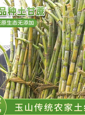 真红 糖无添加拍2减5元老品种土甘蔗农家红 糖 [2减5元]