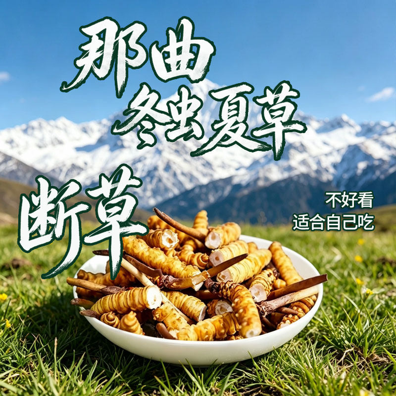 [西藏那曲]冬虫夏草干货 纯野高海拔断草