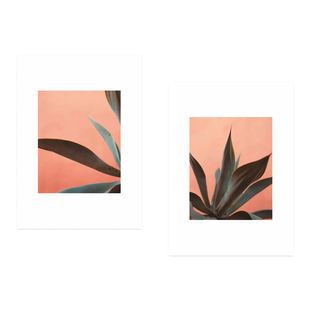 ANNA丹麦设计龙舌兰摄影唯美简约艺术海报北欧客厅餐厅卧室装 饰画