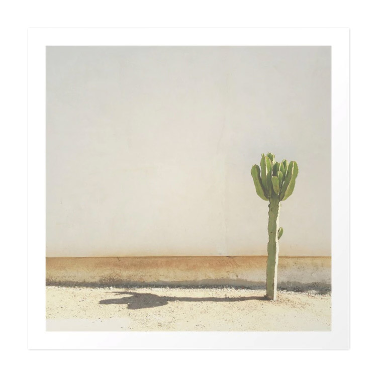 北欧摄影仙人掌海报客厅装饰画