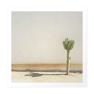 饰画 客厅卧室餐厅家居装 ANNA北欧摄影风景 仙人掌Cactus海报画芯