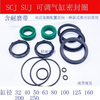 EU防尘密封圈SCJ气缸可调维修包