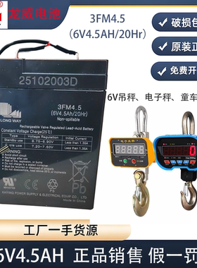 LONGWAY龙威6V4A/20min电子秤地磅秤吊钩秤电池3FM4.5儿童车电瓶