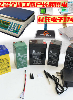 林氏4V6AH5ah4ah电子秤台秤磅秤大容量计价秤电瓶4伏免焊接线电池