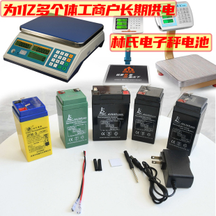 林氏4V6AH5ah4ah电子秤台秤磅秤大容量计价秤电瓶4伏免焊接线电池