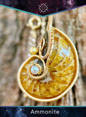 转运螺招财丰盛绕线项链化石