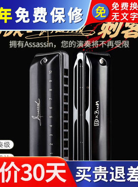 JDR嘉德瑞Assassin刺客布鲁斯蓝调十孔口琴10孔C调专业演奏paddy