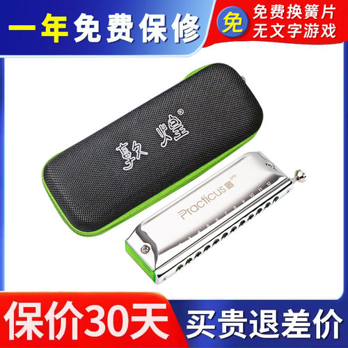 敦煌练习12pro半音阶无膜可水洗