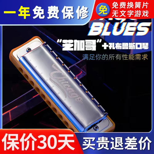 JDR嘉德瑞10孔C调布鲁斯口琴