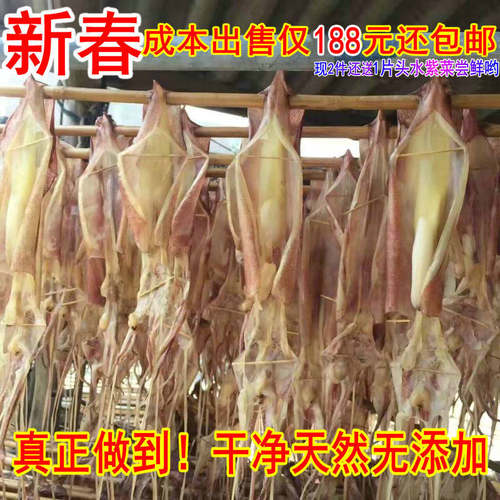 年终大促 淡干海钓 干鱿鱼母 带卵带籽 厦门特产干货500g新鲜包邮