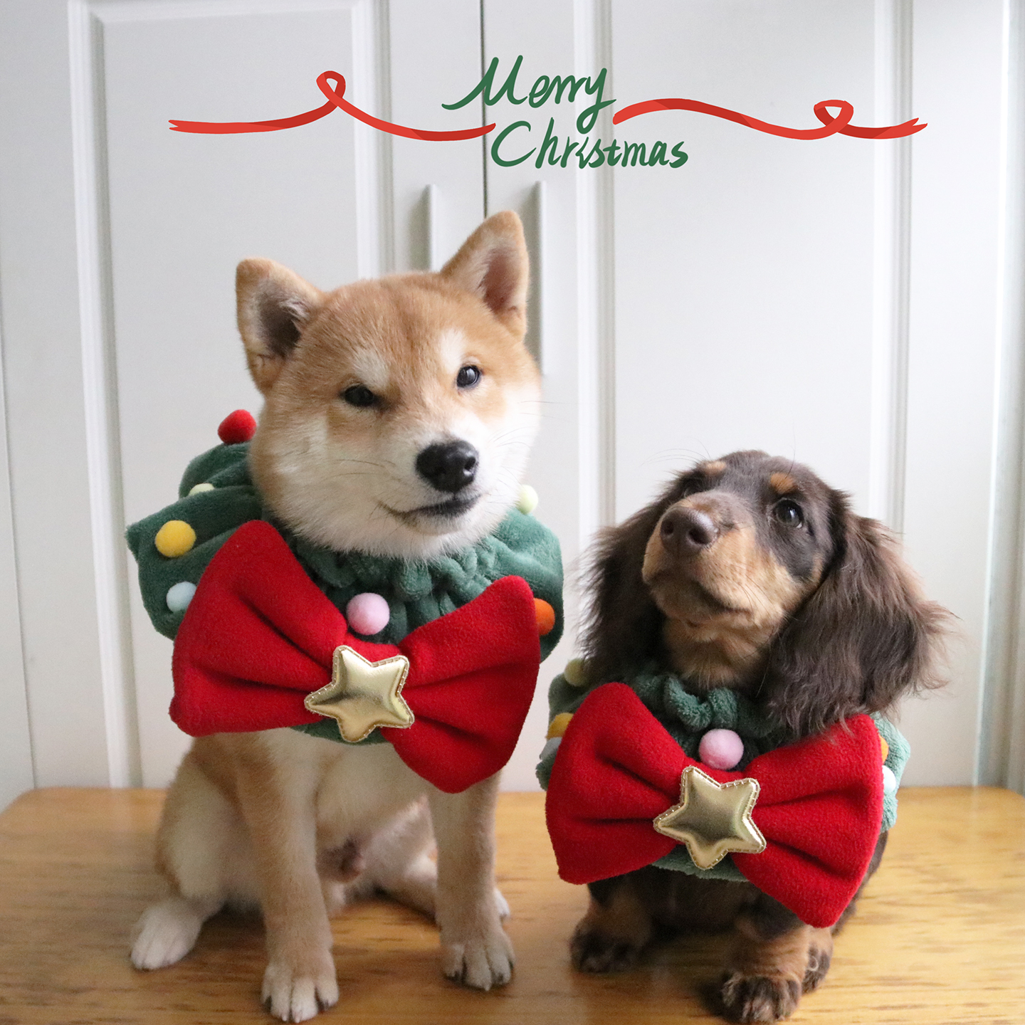 圣诞节宠物围脖狗狗红绿蝴蝶结项圈围兜猫咪节日饰品拍照道具配饰