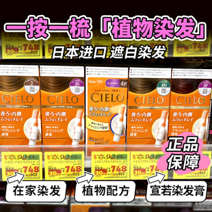 日本HOYU宣若CIELO美源添加植物成分遮白发染发剂梳子型乳液款