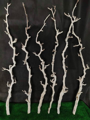 原木干树枝插花杈艺术干枝枯枝枯木树干挂件造型壁挂装饰树枝衣架