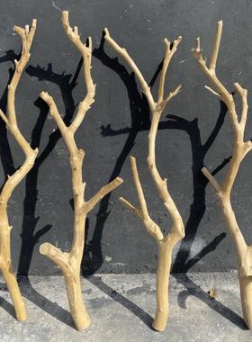 干树枝原木杈艺术干枝枯枝枯木树干鸟架造型壁挂衣架吊顶树枝装饰