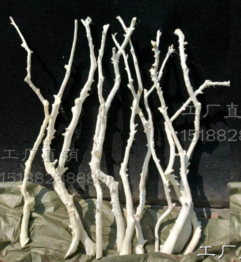 干树枝树干装饰树枝仿真树枝假树枝白树枝枯枝枯木干枝树枝_虎窝淘