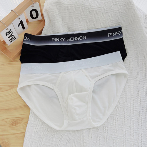 2条装男士三角裤纯色莫代尔薄款中腰舒适U凸柔软简约男生内裤包邮