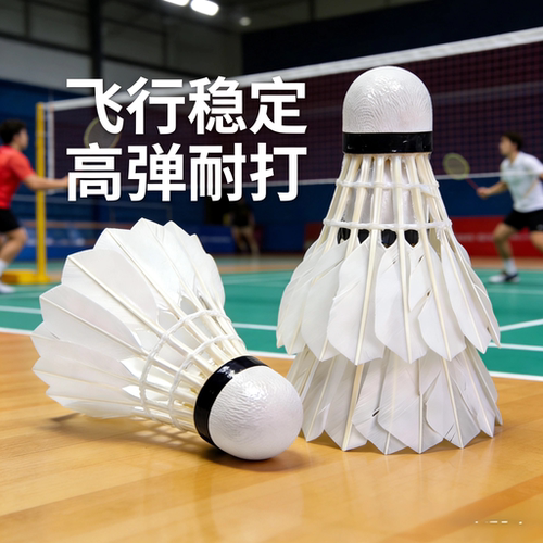 耐打羽毛球学生家庭训练用球包邮